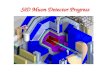 SiD Muon Detector Progress