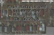 Rain Barrels and Storm Water Management  in Chicago