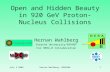 Open and Hidden Beauty in 920 GeV Proton-Nucleus Collisions