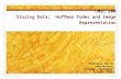 CMSC 100 Storing Data:  Huffman Codes and Image Representation