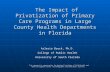 The Impact of Privatization of Primary Care Programs in Large County Health Departments in Florida