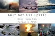 Gulf War Oil Spills