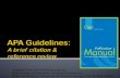 APA Guidelines:  A brief citation & reference review