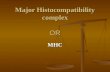 Major Histocompatibility complex OR