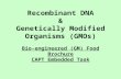 Recombinant DNA & Genetically Modified Organisms (GMOs)