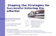 Shaping the Strategies for Successful Entering the eMarket