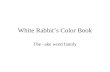 White Rabbit’s Color Book