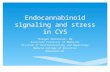Endocannabinoid signaling and stress in CVS