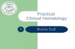Practical  Clinical Hematology