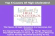 Major Causes of High Cholesterol