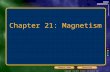 Chapter 21: Magnetism