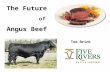 The Future  of  Angus Beef