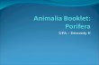 Animalia  Booklet: Porifera