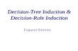 Decision-Tree Induction & Decision-Rule Induction