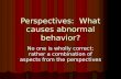 Perspectives:  What causes abnormal behavior?