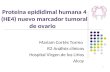 Proteína epididimal humana 4 (HE4) nuevo marcador tumoral de ovario