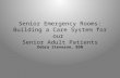 Senior Emergency Rooms: Building a Care System for our  Senior Adult Patients