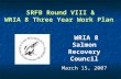 SRFB Round VIII & WRIA 8 Three Year Work Plan