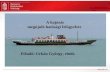 A hajózás megújuló hatósági felügyelete  Előadó: Urbán György, elnök