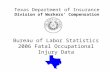 Bureau of Labor Statistics 2006 Fatal Occupational Injury Data