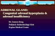 ADRENAL GLAND:    Congenital adrenal hyperplasia &    adrenal insufficiency