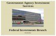 Government Agency Investment Services