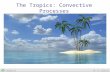 The Tropics: Convective Processes