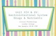 Unit XIV & XV:  Gastrointestinal System Drugs & Nutrients