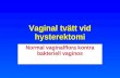Vaginal tvätt vid hysterektomi