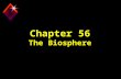 Chapter 56 The Biosphere