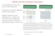 Whole Genome Shotgun Assembly