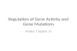 Regulation of Gene Activity and Gene Mutations