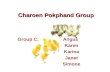 Charoen Pokphand Group