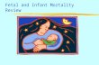 Fetal and Infant Mortality Review