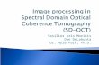 Image processing in Spectral Domain Optical Coherence Tomography (SD-OCT)