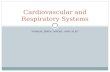 Cardiovascular and Respiratory Systems