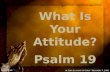 What Is Your Attitude?