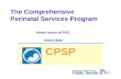 The Comprehensive  Perinatal Services Program
