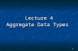 Lecture 4 Aggregate Data Types