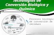 Tecnologías de Conversión Biológica y Química