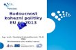 Budoucnost kohezní politiky EU po 2013 Ing. arch. Daniela Grabmüllerová, Ph.D. MBA