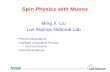 Spin Physics with Muons