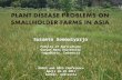 PLANT DISEASE PROBLEMS ON SMALLHOLDER FARMS IN ASIA