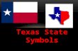 Texas  State Symbols
