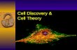 Cell Discovery &  Cell Theory