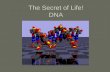 The Secret of Life! DNA