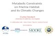 Metabolic Constraints  on Marine Habitat  and its Climatic Changes