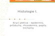 Histologie I.