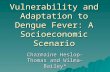 Vulnerability and Adaptation to Dengue Fever: A Socioeconomic Scenario