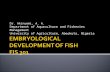 EMBRYOLOGICAL DEVELOPMENT OF FISH FIS 301